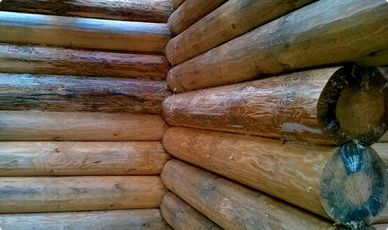 На фото стена бревенчатая с деревянной крышей